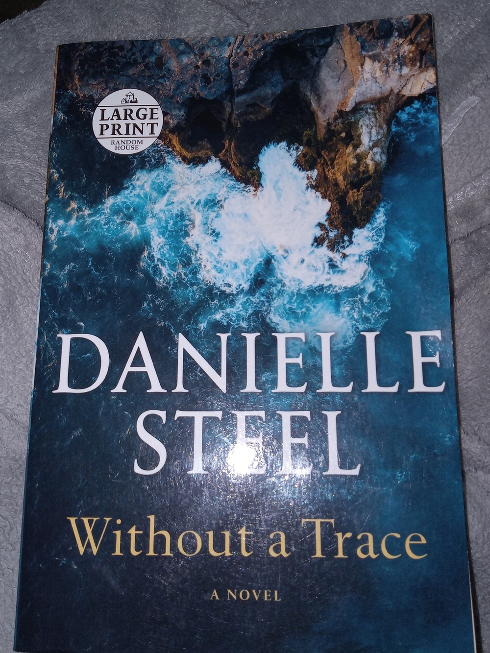 Large Print Blue Ocean Cover Novel - Without a Trace